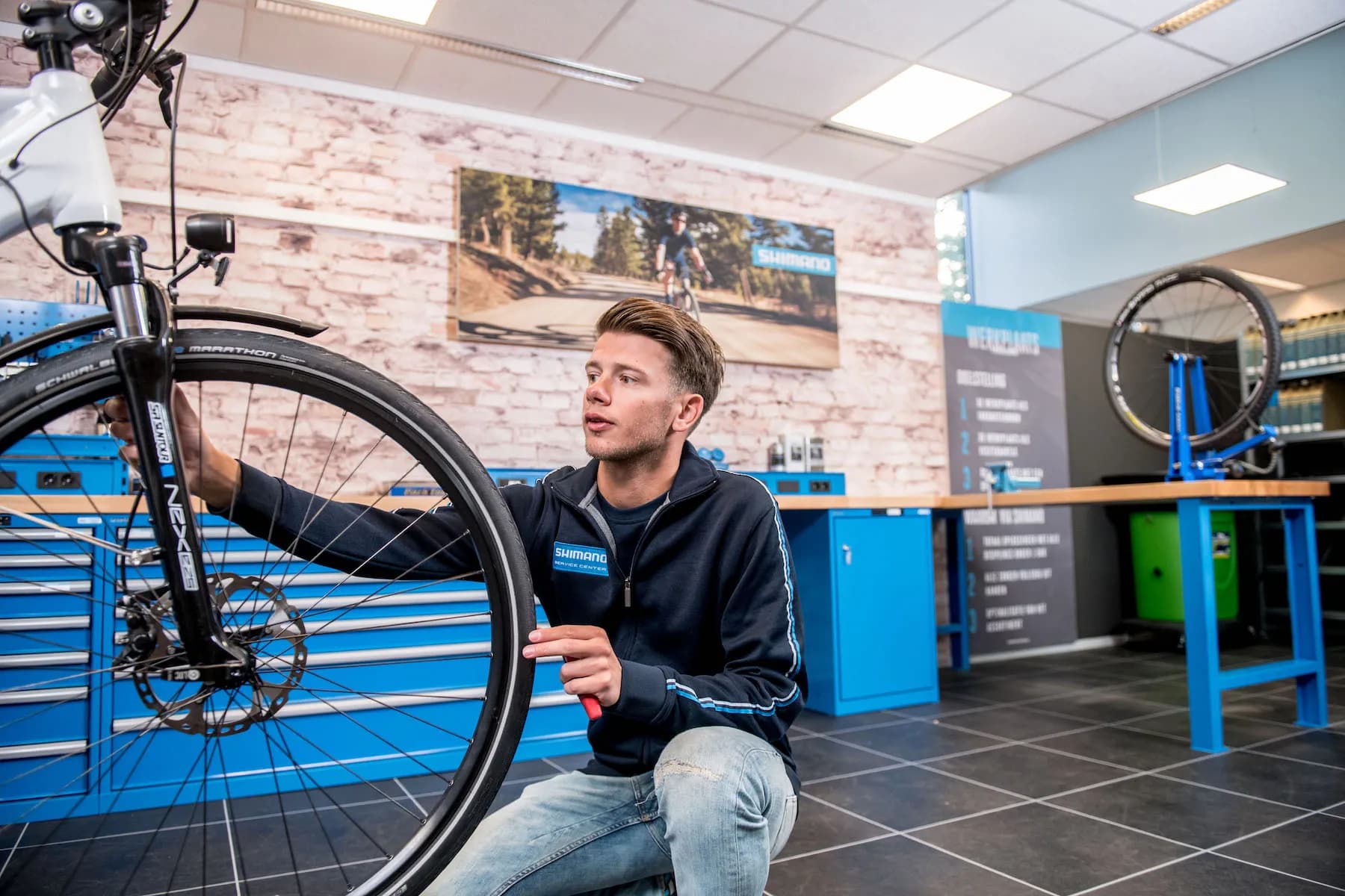 Professioneller Fahrradservice & Wartung durch zertifizierte Shimano Mechaniker